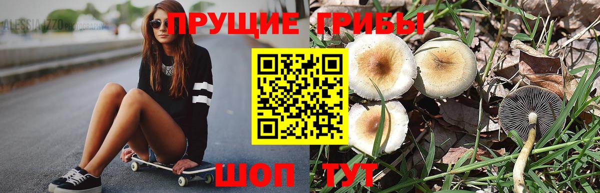 Димитровград  Псилоцибиновые грибы мицелий  Вход с VPN 