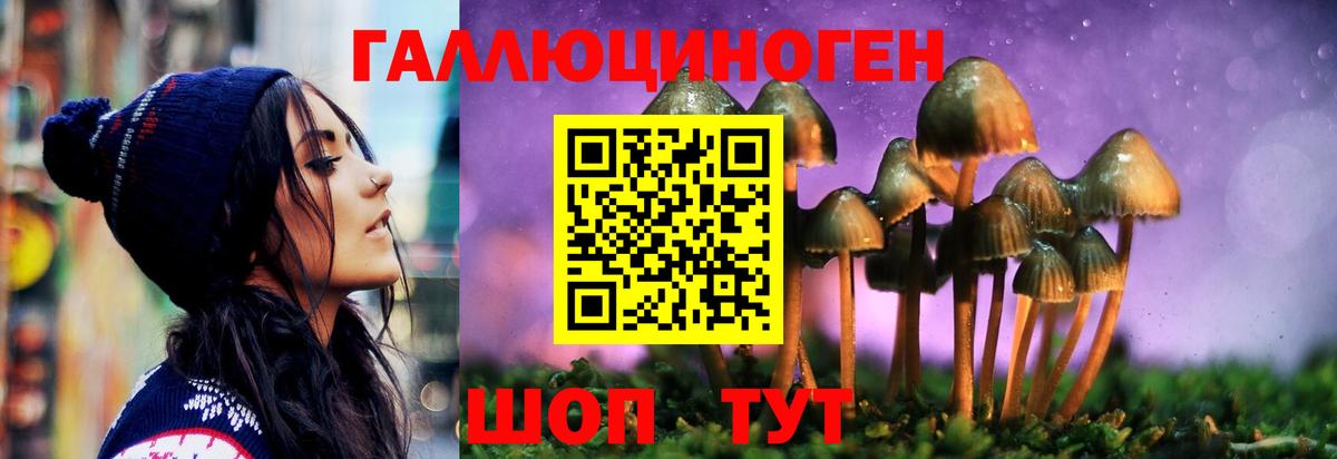 Псилоцибиновые грибы MAGIC MUSHROOMS Димитровград
