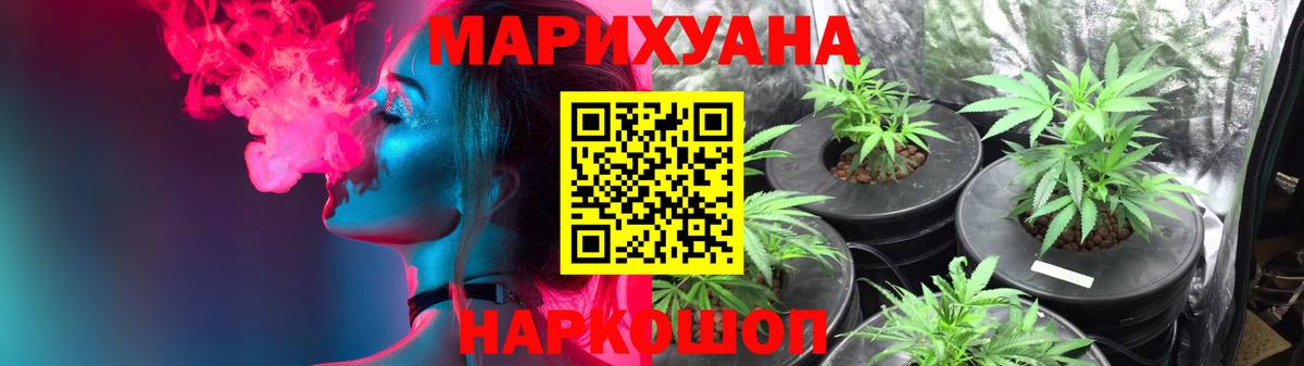 МАРИХУАНА сатива Димитровград